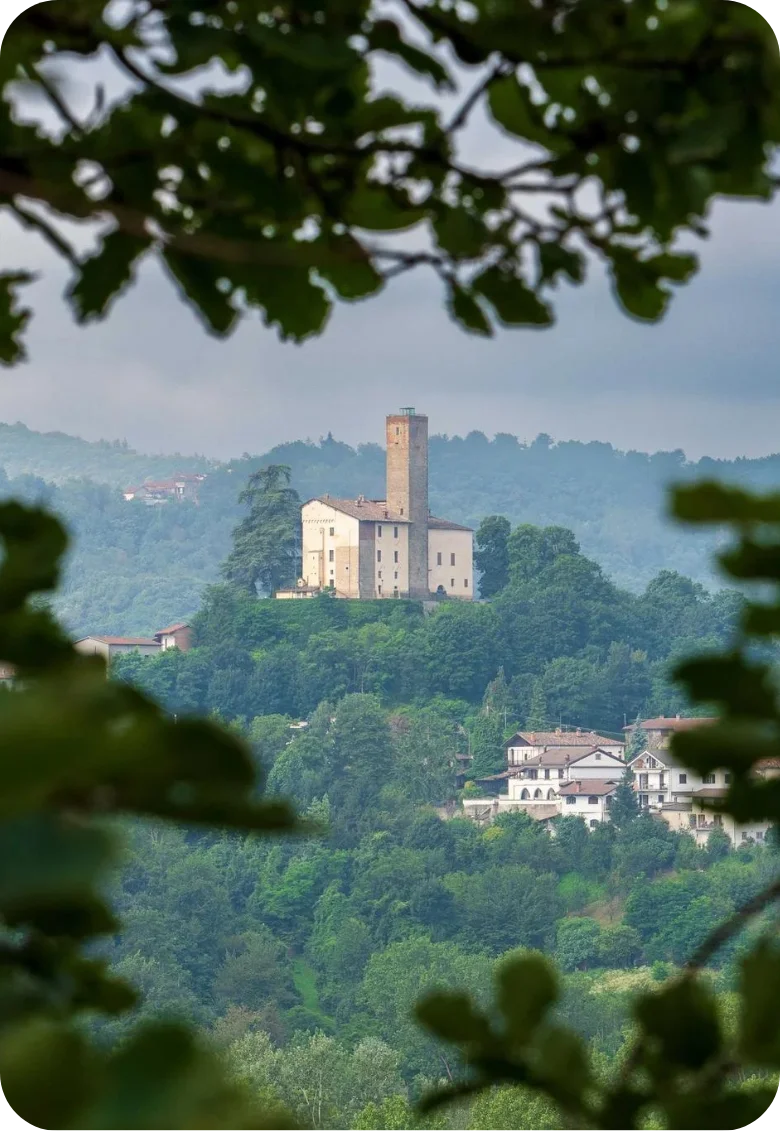 CASTELLO HOMEPAGE